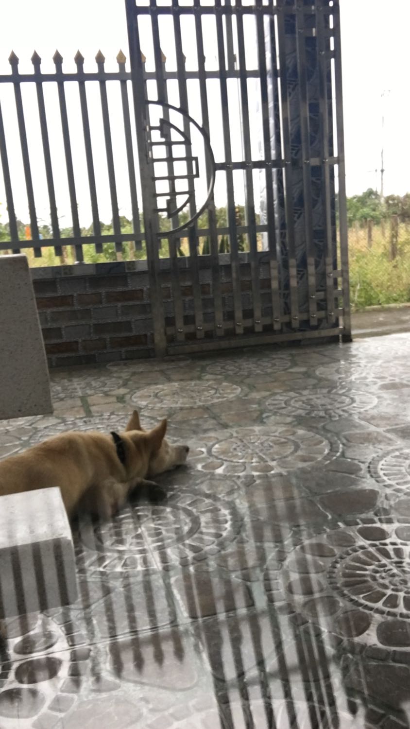 Giao nhanh là được chưa xài chưa biết nói chung giao nhanh là được mới đặt hôm qua hôm nay đã có