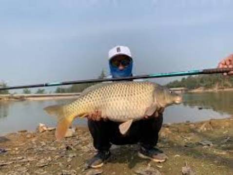 Cần ok đùng ổn shop còn tặng nhiều cước mọi người lên mua nha ok