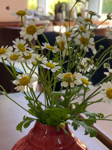 Tai khoan chinh cua ban sap het. Soan Y gui de duoc nhan ngay d va KHONG MAT PHI. Tien ung se duoc tru trong lan nap the tiep theo. So tien duoc cong vao tai khoan va su dung trong 60 gio. Sau do, so tien da ho tro se het hieu luc va bi thu hoi neu chua su dung het. Tu choi nhan tin, soan TC gu