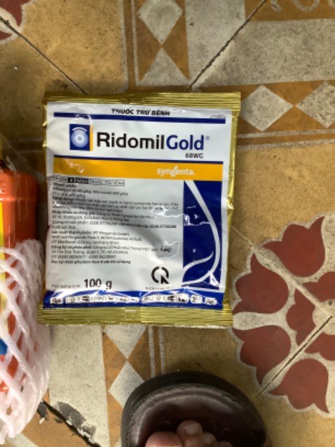 Quá như ý giá rẻ