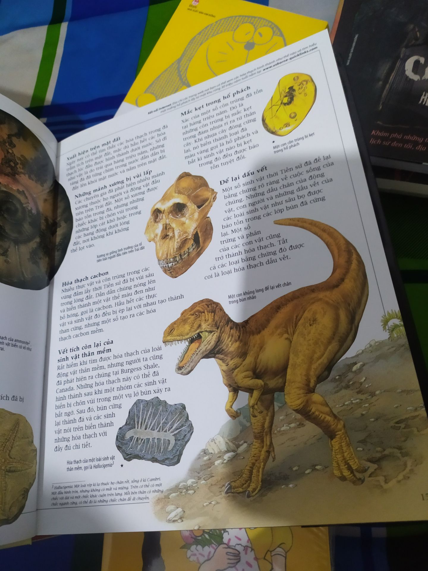 Quyển sách lịch sử quá đẹp, quá hay đến từ nhà Đông A.
Bạn mà cầm trên tay quyển này là bạn sẽ suýt xoa cho xem, vì sao vậy ?
- Hình thức, trình bày: Sách được in trên giấy bóng dày, màu in rất đẹp, không bị lem hay chảy màu. Bìa cứng dày in nhũ dập nổi tiêu đề đẹp mê ly luôn á. Mục lục trình bày theo logic từ tiền sử xa xưa đến 500 năm gần đây, độc giả dễ theo dõi sách.
- Nội dung: Sách trình bày lịch sử của nhiều lĩnh vực trong xã hội, mỗi bài có nhiều hình minh hoạ rất đẹp, bắt mắt, không nhàm chán. Cung cấp chuỗi kiến thức khổng lồ nhưng thú vị cho người đọc. Nội dung sách thích hợp với mọi người, mọi lứa tuổi.