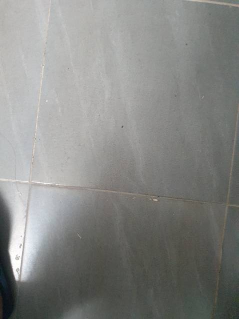 🇹🇭 TRÀ GỪNG 
Em biết đến trà này là vì bà Cô nhờ mua, Cô bảo uống rất thơm ngon mà lại tốt cho sức khỏe.

• Trà gừng RANONG là dòng trà gừng Cao Cấp, đặc sản của Thái Lan

• Uống trà gừng giúp cơ thể lưu thông máu huyết, tăng cường quá trình chuyển hóa chất, giúp làm ấm cơ thể nên tăng tuần hoàn máu.

• Uống đều đặn trước khi chuyển mùa cũng có thể giúp phòng ngừa được cảm cúm, giúp tiêu hóa tốt, giảm cholesterol, ngăn chặn một số bệnh ung thư, và rõ rệt nhất là uống liên tục để khử mỡ và chống thừa cân ,béo phì.

• Ai hay bị ho và ngứa cổ thì dùng trà này nhé vì khách em bảo dùng rất hiệu quả chứ không như trà gừng mua bên vn.
#250ka/bịch
🇹🇭🇹🇭🇹🇭 - ODER THÁI - TUYỂN CTV 🇹🇭🇹🇭🇹🇭