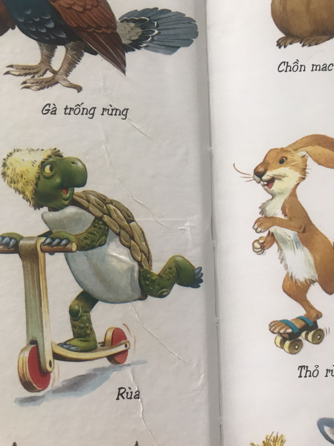 Đóng gói kĩ càng, giao nhanh. Truyện kiểu ngụ ngôn hình ảnh đẹp, dễ thương. 
Nhưng hơi tiếc là trang đầu dán keo bị nhăn :(