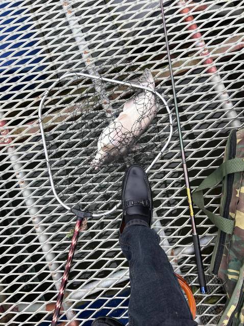 Chất lượng sản phẩm tốt, đóng gói rất kỹ giao hàng nhanh , shop bán hàng có tâm tư vấn nhiệt tình shipper nhiệt tình nên mua sản phẩm