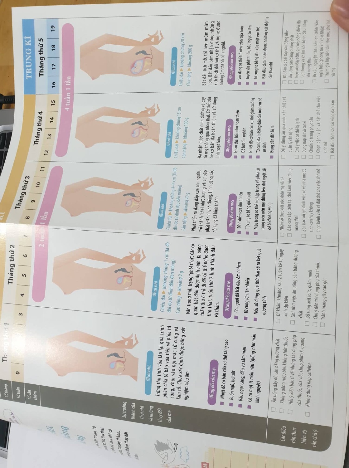 sách dày và in màu đẹp, nội dung chi tiết từ lúc có dấu hiệu mang thai. qua từng tháng đến lúc đẻ, những việc cần làm. ngoài ra còn có nội dung về sức khỏe, dinh dưỡng chăm sóc cơ thể khỏe mạnh, chuẩn bị sẵn trong khi mang thai và sau sinh, chăm sóc bé sơ sinh cơ bản. mình mới đọc tới tháng thứ 3 nhưng cảm quan chung là thích sách này.