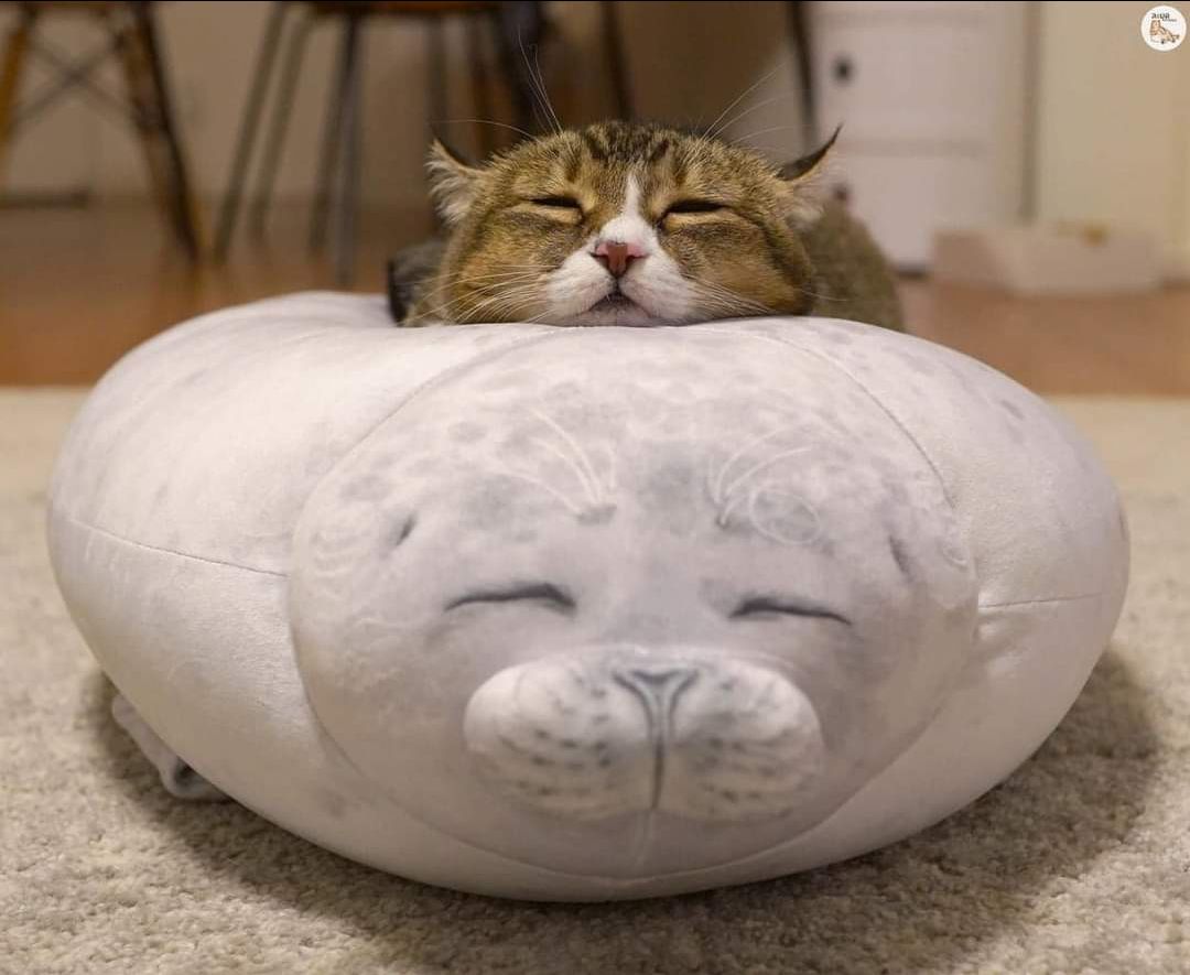 Mua dịp sinh nhật Tiki nên giá khuyến mãi rất tốt, giao hàng nhanh, hạn sử dụng khá. Mặt hàng thiết yếu của tụi nhỏ ở nhà. Mua dịp sinh nhật Tiki nên giá khuyến mãi rất tốt, giao hàng nhanh, hạn sử dụng khá. Mặt hàng thiết yếu của tụi nhỏ ở nhà.