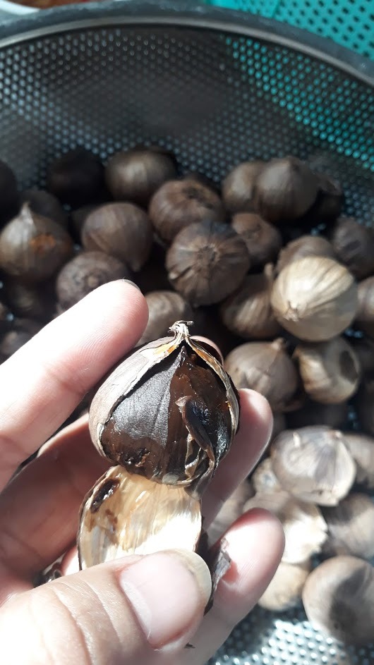 Nấu lần thứ nhất: không thành công tỏi nâu chứ không phải tỏi đen, tiki thu hồi và sữa chữa bảo hành về nấu lần thứ 2 thì đúng là tỏi đen, nhưng không khô và dẻo như tỏi người ta bán. tỏi mình chất lượng ok hơi có 1 chút vị chua nhưng rất ngọt chỉ mỗi tội k mềm èo mình sấy khô 2 lần rồi nha, và cả phơi nắng luôn. k biết mính thiếu khâu nào, có bạn nào biết mong được chỉ giáo. hình ảnh minh họa 2 lần khác nhau