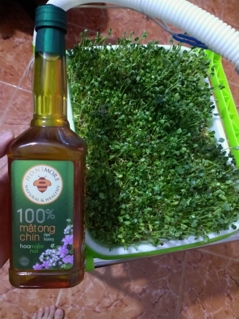 Mật ong rất ngon và sánh, giá lại rẻ, giao hàng nhanh, đóng gói cẩn thận. Sẽ ủng hộ shop dài dài