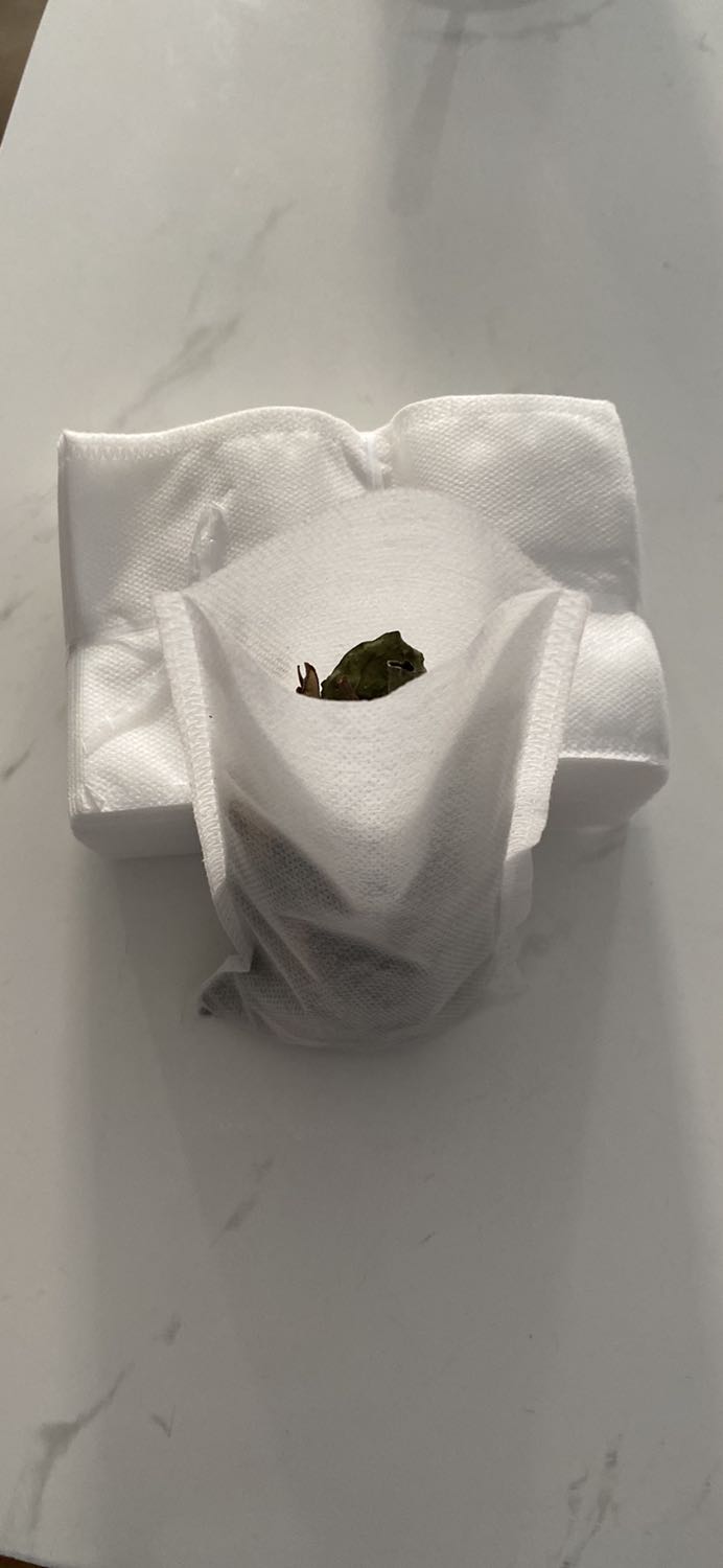 Sản phẩm nhận về không có dây rút rồi sao xài được vậy Shop?
Giao hàng khác với mô tả bằng hình ảnh đã đăng.