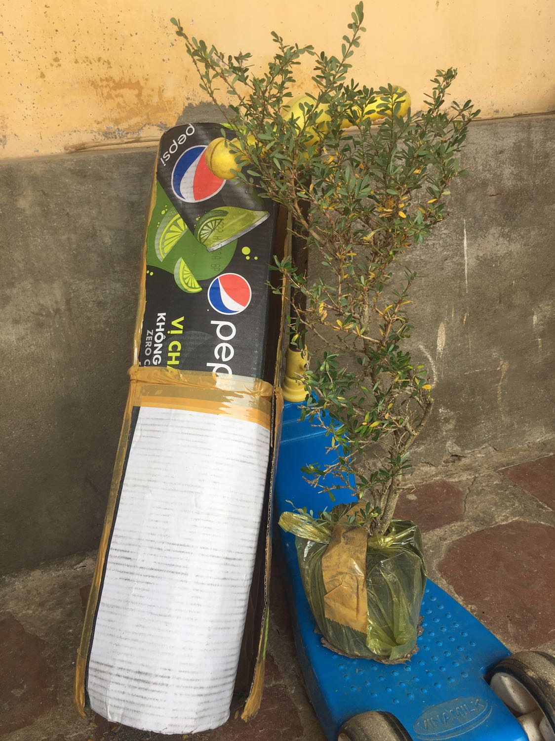 Đã nhận được hàng trưa nay 
Nói chung cũng hài lòng .
Xin cảm ơn tất cả!