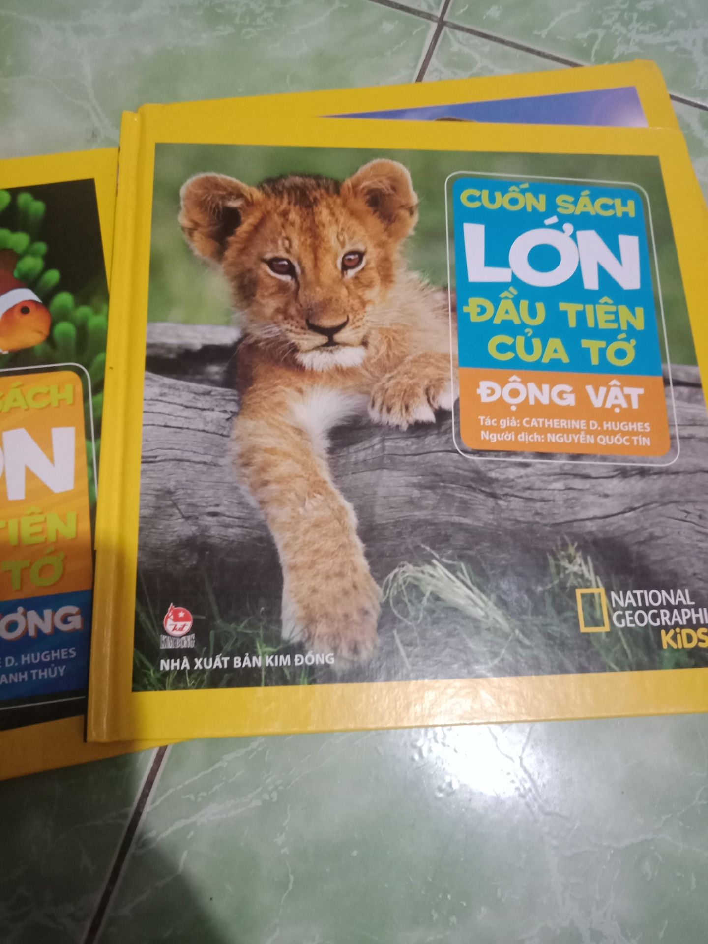 nội dung hay.con mình rất thích .shiper nhiệt tình, gủi hàng nhanh
đã mua 4/7 cuốn
sẽ mua đủ bộ