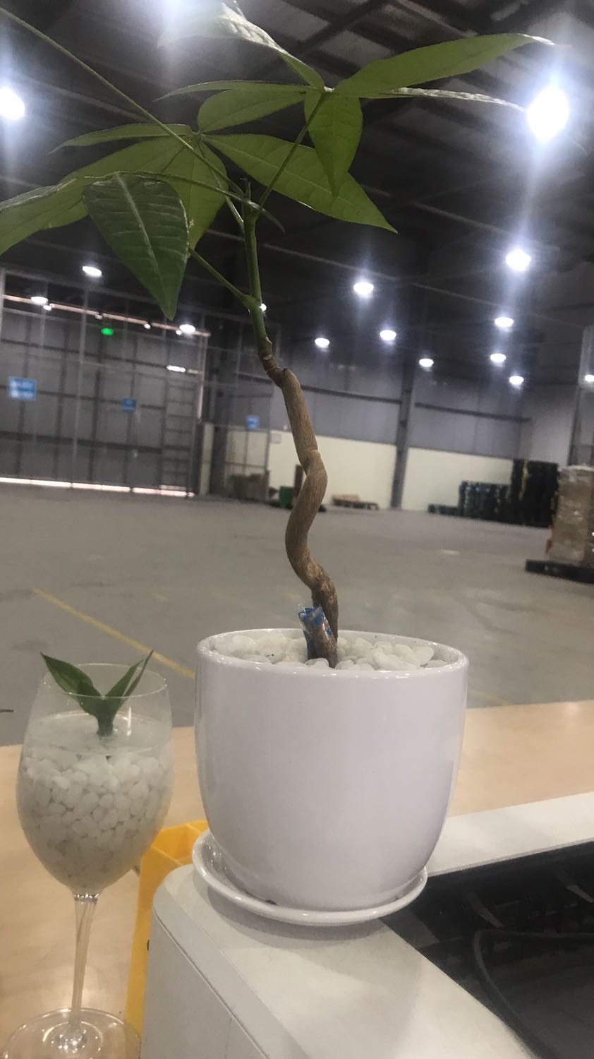 Giao hàng lâu , bé nhà mình đang dùng , mong sẽ cải thiện đc các vấn đề hô hấp . Đóng gói cẩn thận