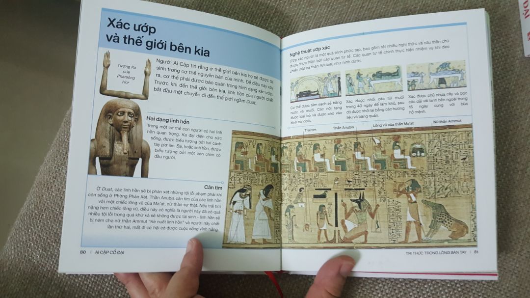 Nội dung về đất nước Ai Cập luôn là điểm ấn tượng, thế giới kỳ bí của tụi mình thưở nhỏ. Sách xuất sắc và phù hợp với nhiều loại tuổi. Mới đặt hôm qua mà hôm nay đã có, dịch vụ vận chuyển thật nhanh chóng. Cám ơn các bạn
