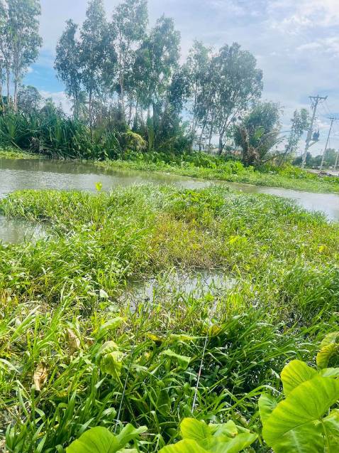 Giao hàng nhanh, đóng gói cẩn thận hàng đẹp chất lượng tốt