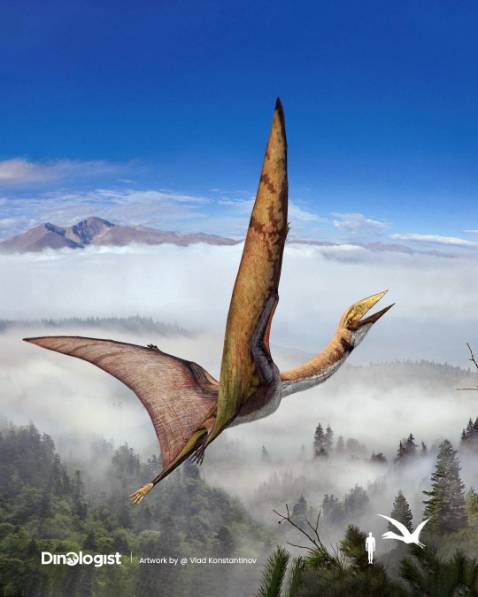 Nội dung hấp dẫn. Nét vẽ nhân vật đẹp. In ấn/màu sắc rõ nét.