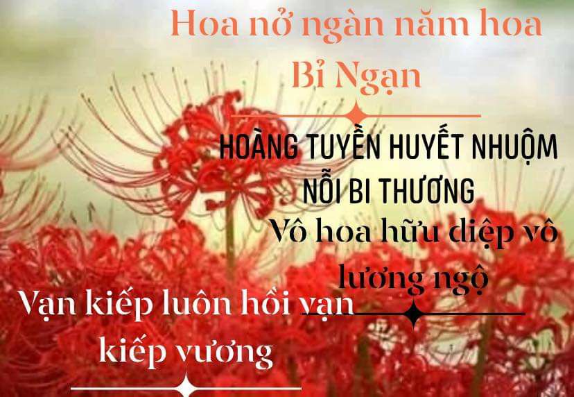 sách ngoài bìa bị dơ, nhưng giao hàng nhanh.