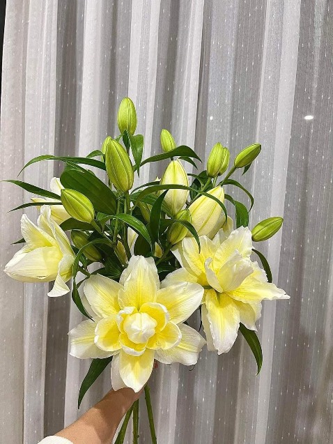 Trải nghiệm đủ lâu để đánh giá . Tháng đầu dùng rất tốt , tháng thứ 2 có dấu hiệu pin hết nhanh và bắt blutus kém lúc đc lúc ko . Còn mọi thứ đều ok từ khâu đóng gói đến giao nhận