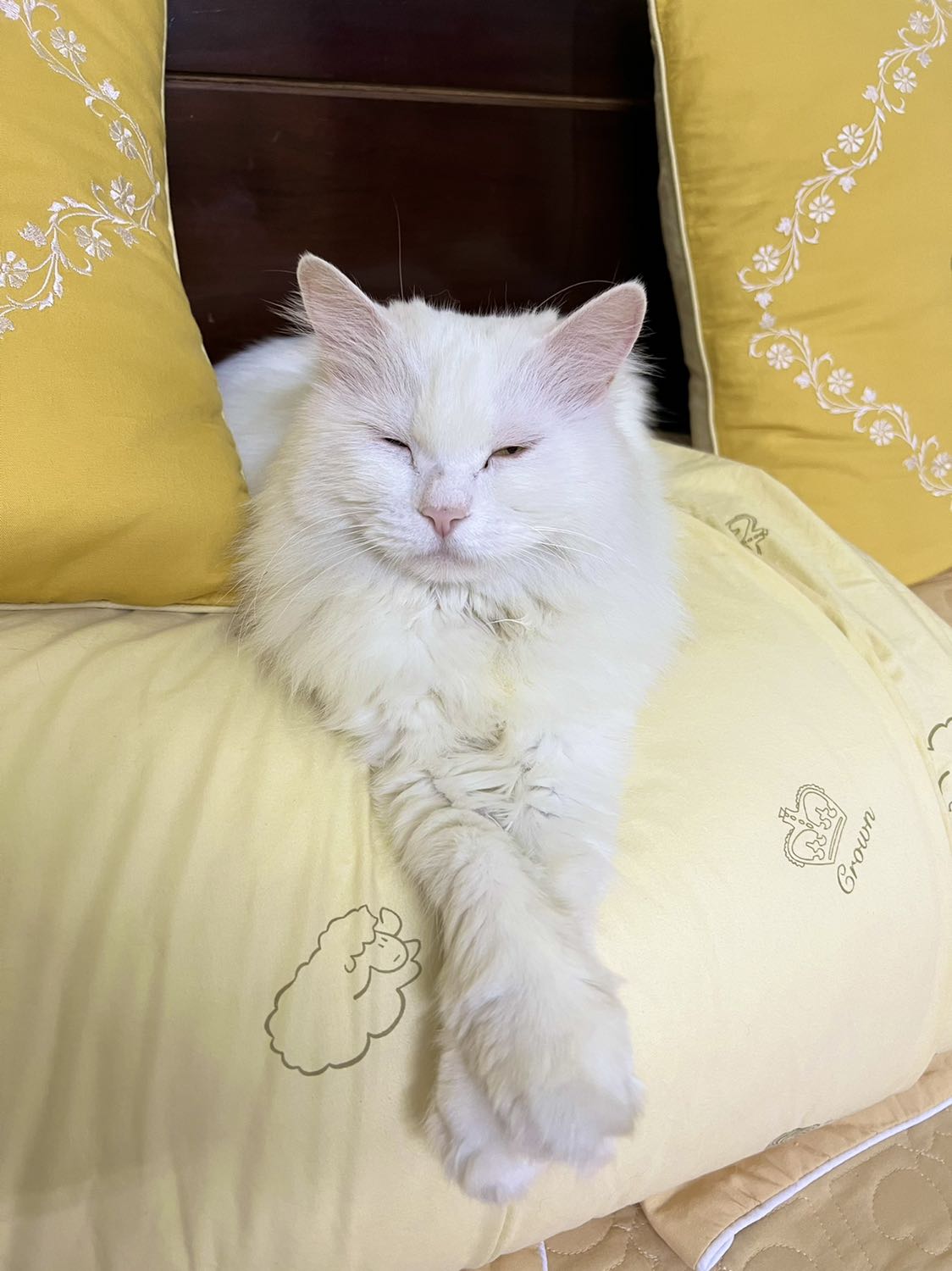 Dùng tốt,đáng mua