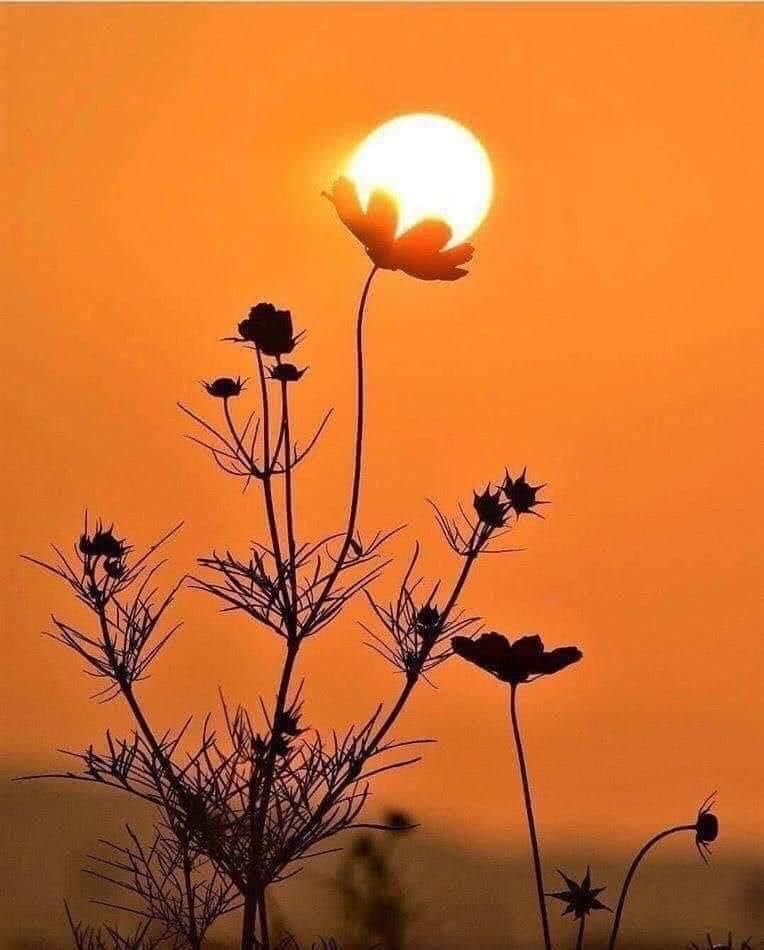 Hàng đẹp. Sẽ ủng hộ shop.