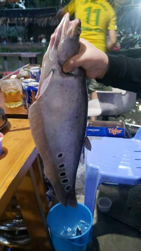 Hàng rất tối gói hàng kỉ