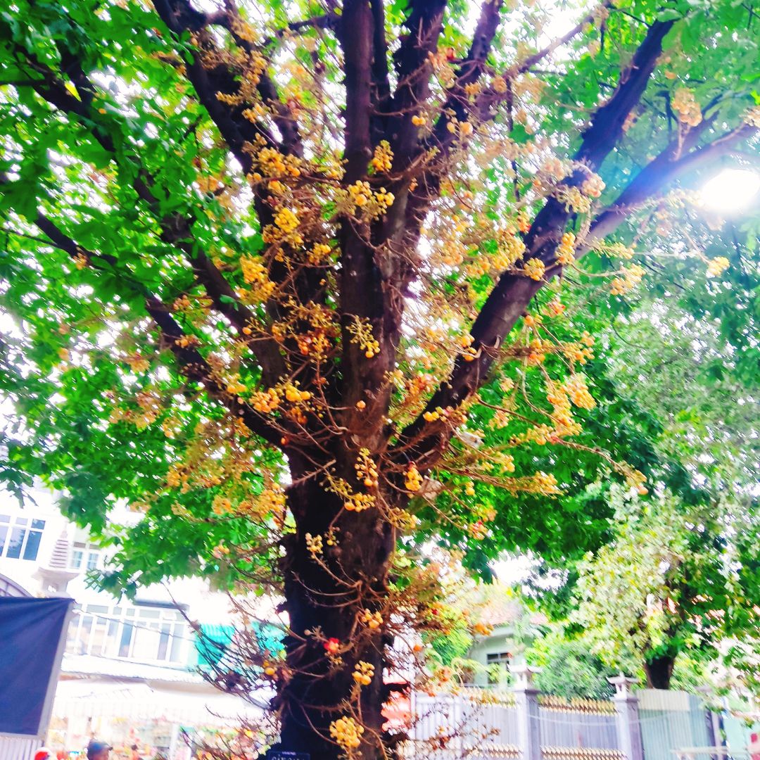 hàng đúng và giao đủ số lượng