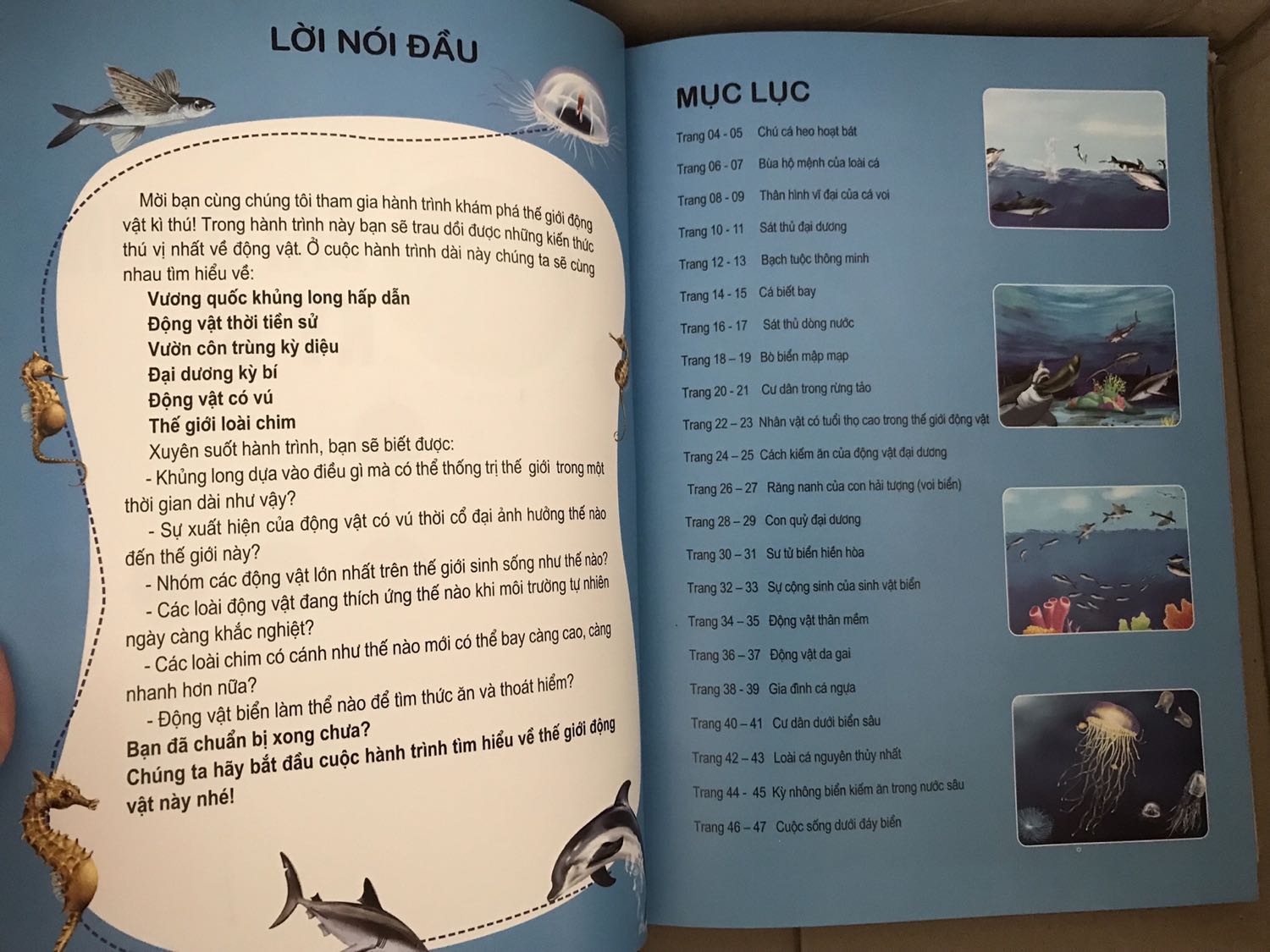 Sách ổn, nội dung phong phú. Tuy nhiên có lúc phần chữ và hình nhìn hơi rối, cần có người lớn hướng dẫn bé xem sách.