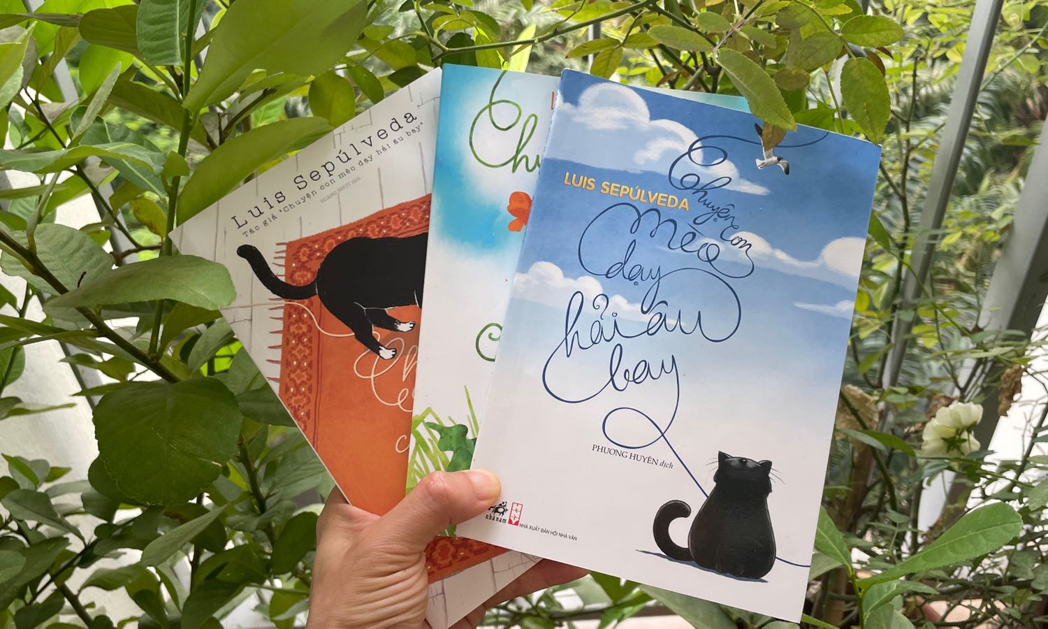 Câu chuyện hay ý nghĩa dành cho trẻ em
by TokyoCamera.vn