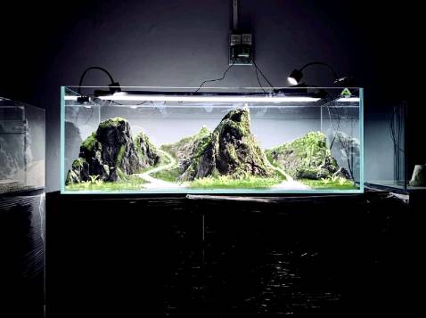 Bởi vì mk đặt hộ nên kb sản phẩm ra sao. đóng gói đẹp giao hàng nhanh Bởi vì mk đặt hộ nên kb sản phẩm ra sao. đóng gói đẹp giao hàng nhanh