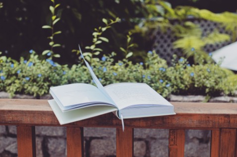 Tuyệt vời tuyệt vời hay quá hay quá