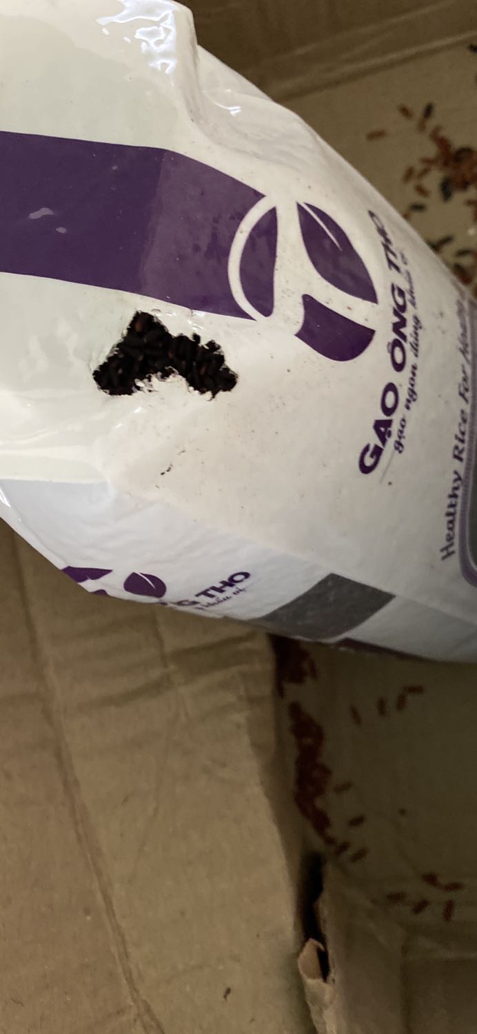 Gạo bị chuột cắn hết đặt , giao lộn loại