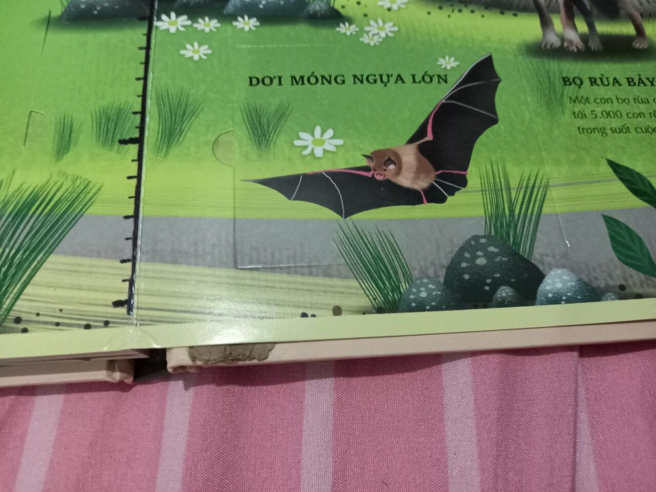 Sách bị hư hại, cũ. Gần như bung gáy từng trang. Lỗi trên trang, phần lật mở rách, trầy. Cần đổi trả lại.