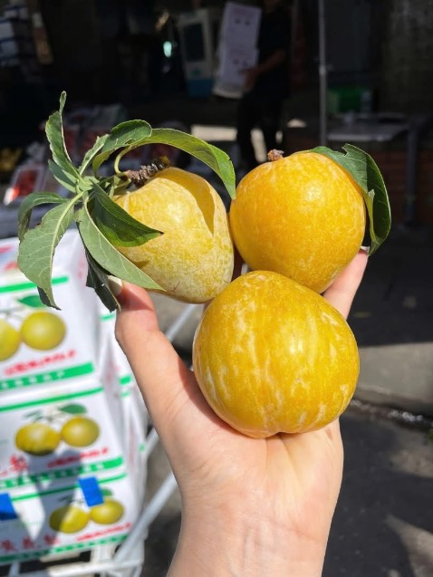 Sản phẩm đạt tiêu chuẩn đóng gói tốt vận chuyển nhanh