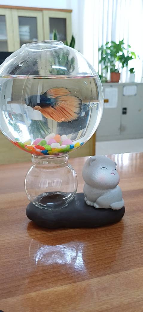 Sách có nội dung hay, bản in đẹp, giấy tốt