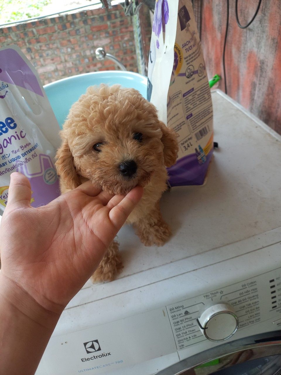 tốt, nên mua mn nhé tốt, nên mua mn nhé