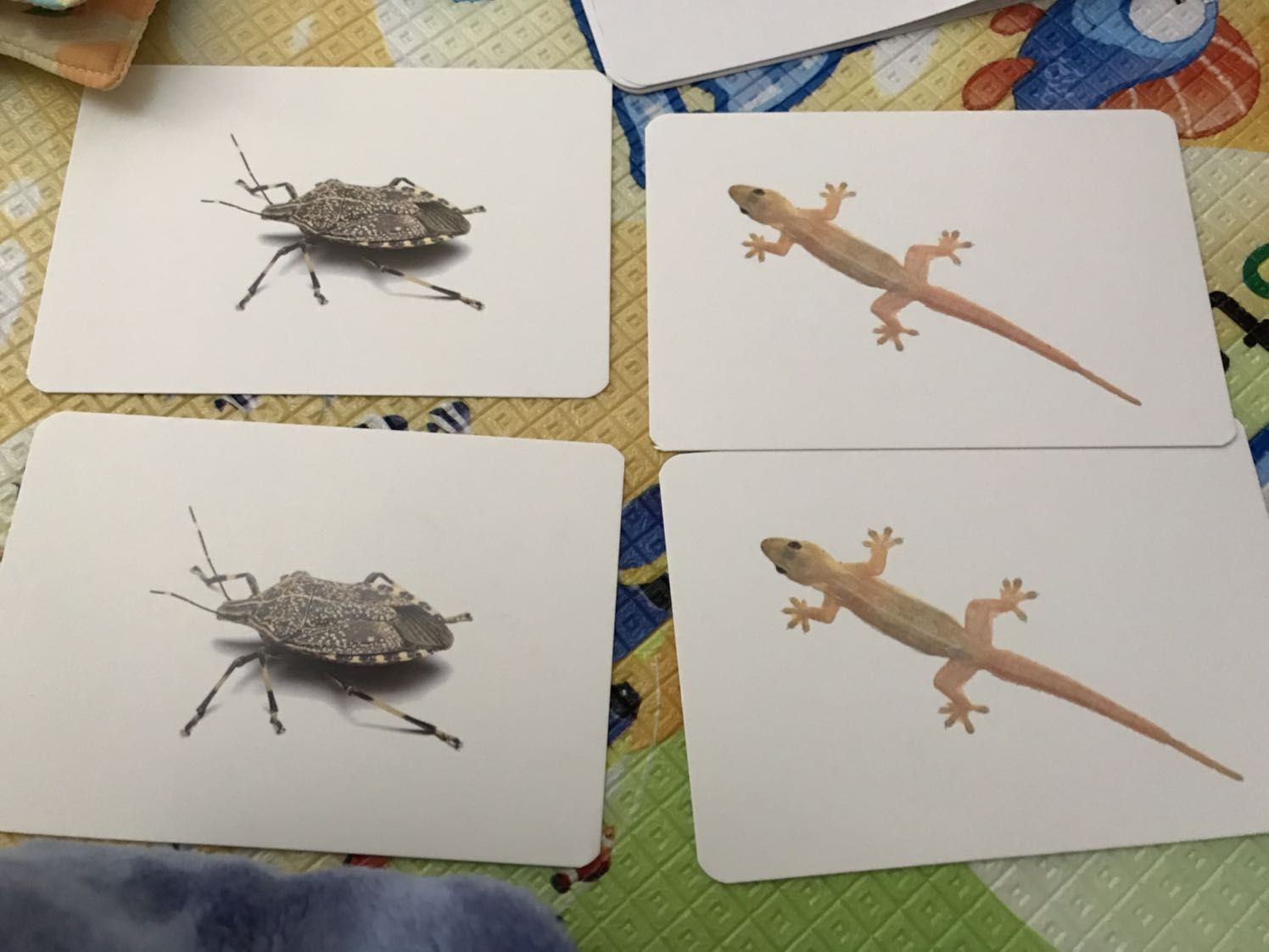 Mình mua sản phẩm này và gửi sang Úc. Qua tới Úc nhận hàng được rồi thì thấy thế này. Thật sự quá thất vọng mà ko biết làm gì được nữa.