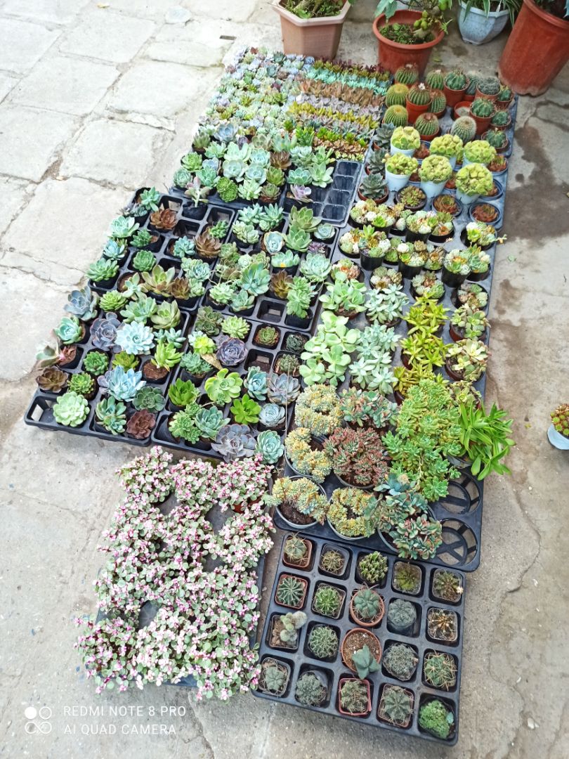 Shop đóng gói cẩn thận,giao hàng nhanh,lắp ghép 1 lát là ok rồi. Độ bền thì cần thời gian để đánh giá.Thanks shop!