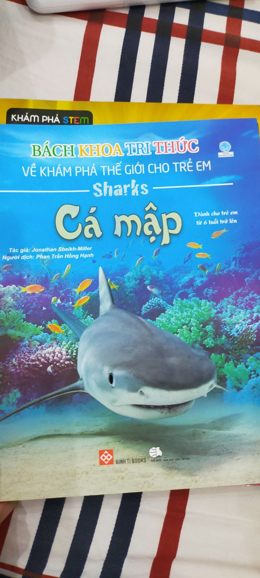 Giao hàng nhanh, cho con tìm hiểu sơ lược về cá mập, trình bày hình ảnh sinh động