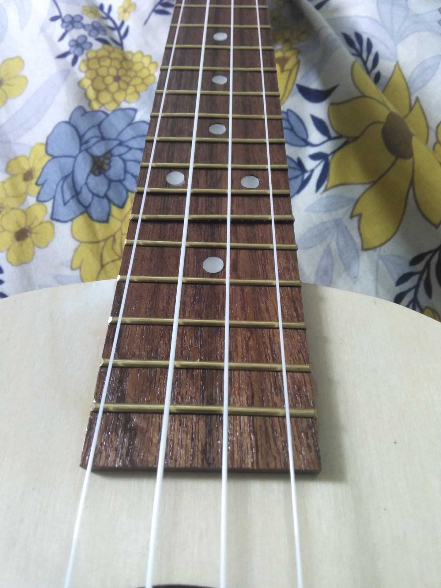 đàn đểu thực sự, lệch tùm lum, dây thì chỉnh tý là chán, hợp âm thì bấm dây thì rè