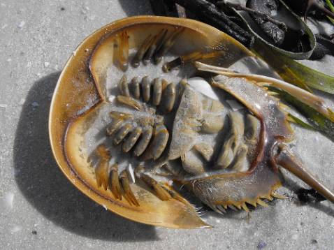 Đóng gói ok, sản phầm giao hàng nhanh, chưa dùng nên chưa biết sp thế nào