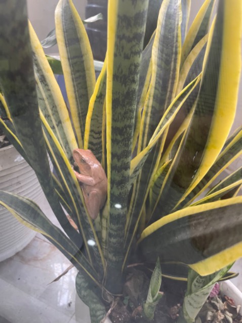 Mình mua màu xám đen, màu đẹp, sang. Dễ lắp ráp sử dụng. Giao hàng nhanh. Nói chung đáng mua ạ. Mình mua màu xám đen, màu đẹp, sang. Dễ lắp ráp sử dụng. Giao hàng nhanh. Nói chung đáng mua ạ.