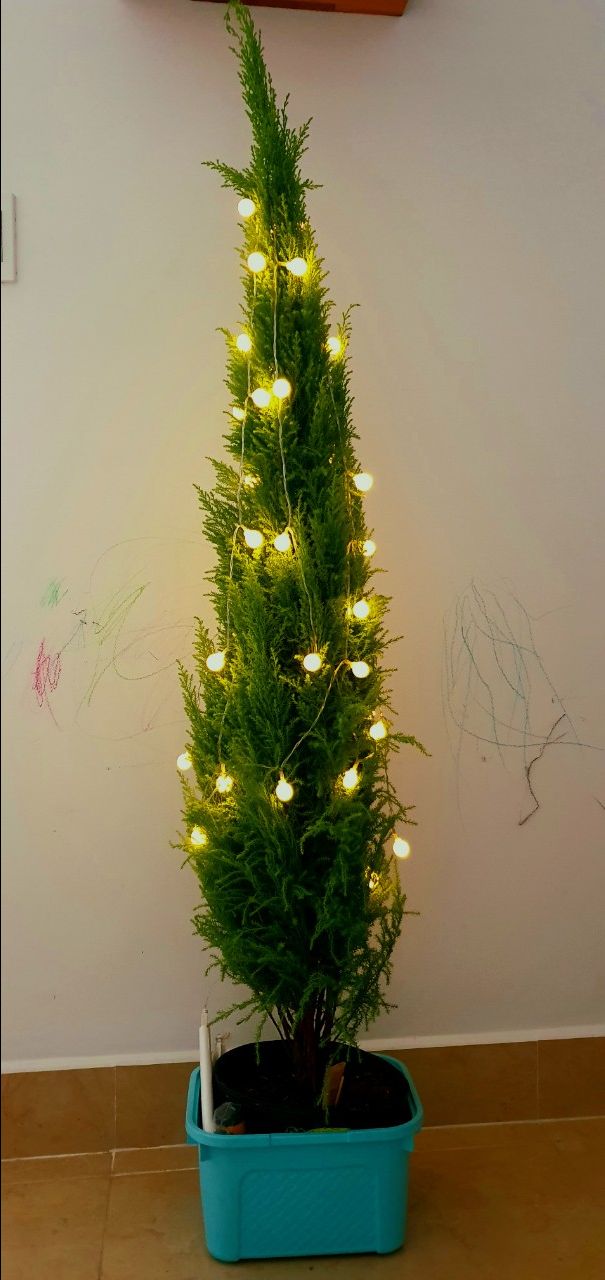 sản phẩm rất chất lượng và bền đẹp. treo lên cây rất lung linh và anh sáng ấm áp. một mùa giáng sinh cảm xúc với mức giá khá hợp lý. nên chọn chuôi cắm usb (cắm vào pin dự phòng hay cục sạc đt)