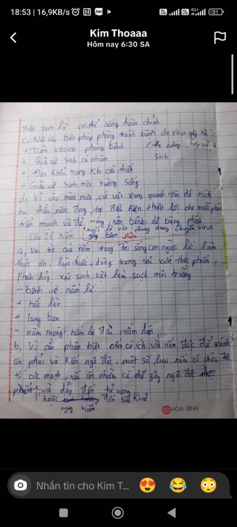 Tốt có HN nkfgn BV xD rồi đi buoond đ VN nk