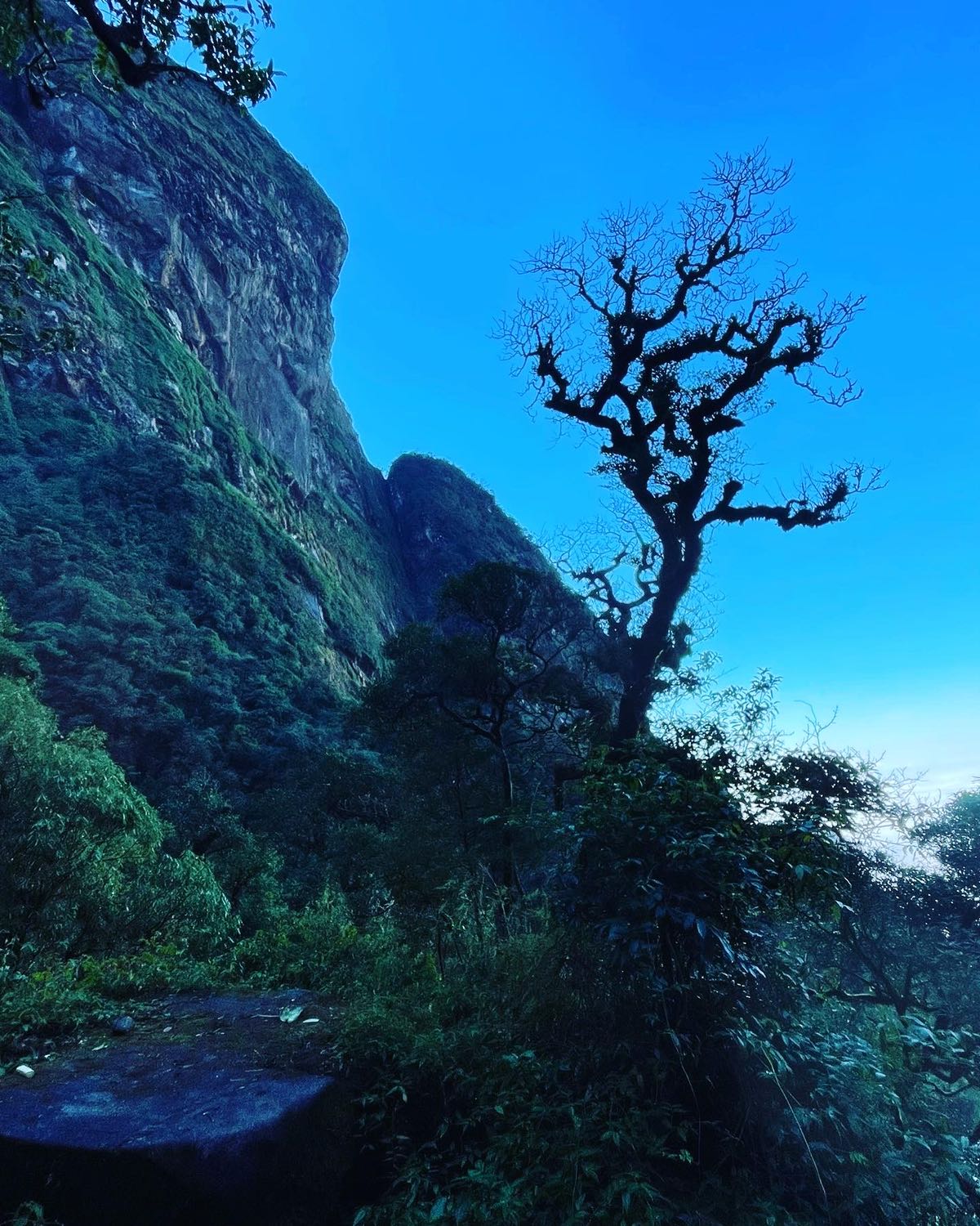 Hàng giao hơi chậm so với mọi khi, nhưng đúng hẹn so với tiki