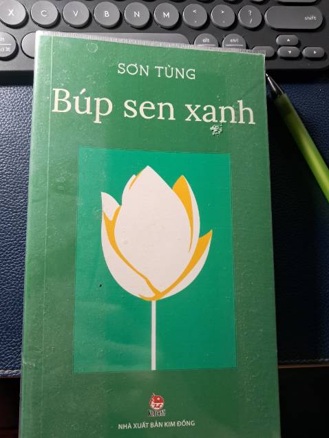 Sách viết về Bác Hồ thời niên thiếu trước lúc ra đi tìm đường cứu nước vào năm 1911.