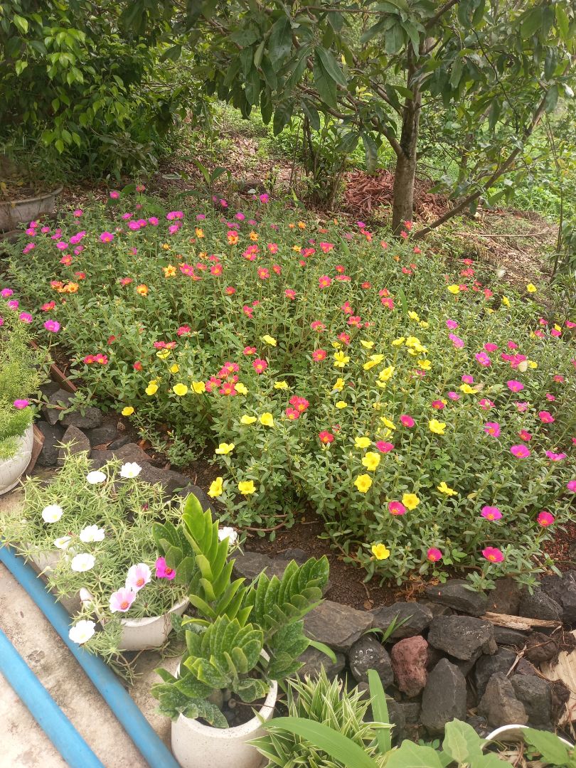 Tủ quá nhỏ so với mô tả 😡