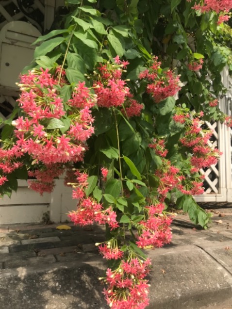 Sản phẩm hiệu quả tốt, phù hợp cho người mới bắt đầu học