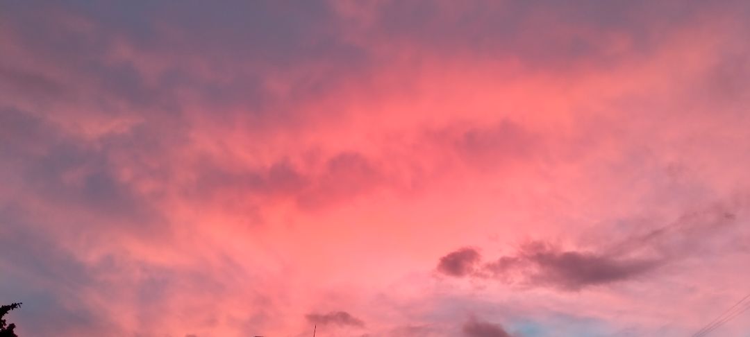 ngon , bổ , rẻ , giao siêu nhanh , đóng gói 2 lớp thùng , bọc kĩ