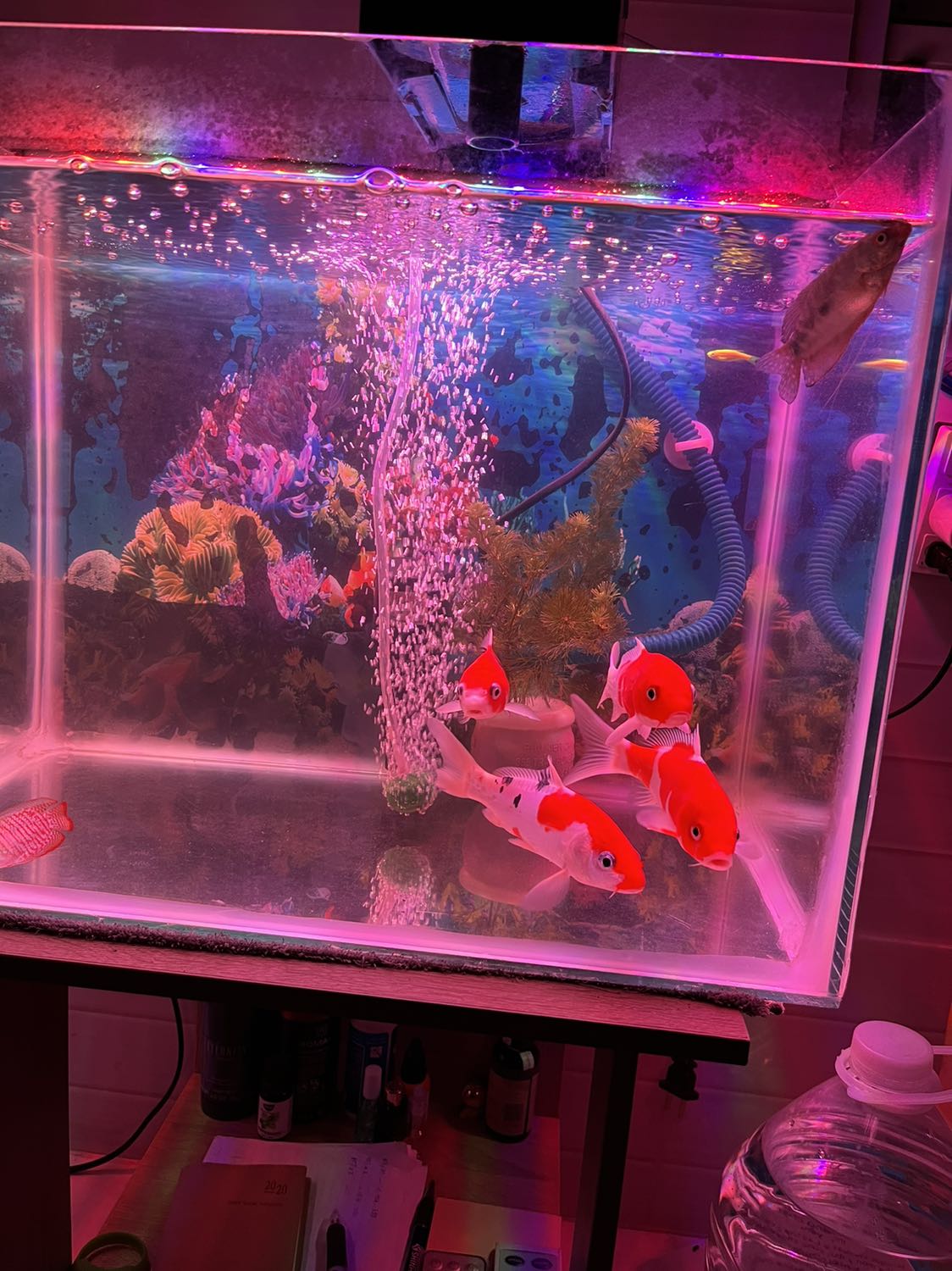 Sản phẩm tốt nước trong cá khỏe