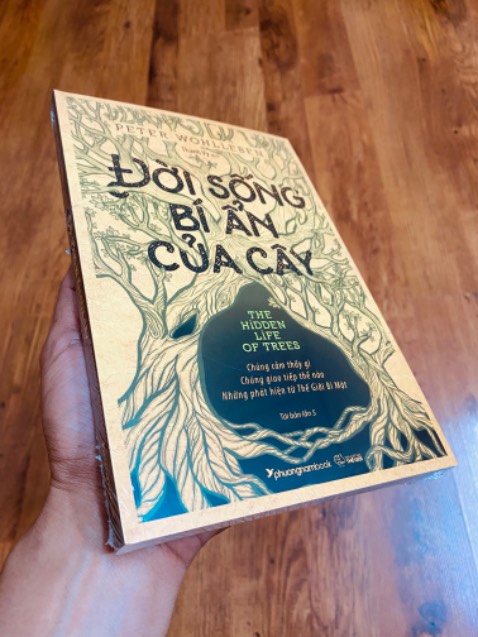 Sách đến tay mới nguyên seal, ko móp méo gì, nói chung là ok.