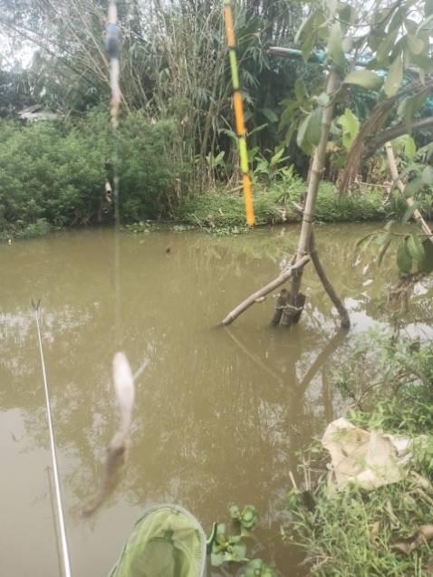 Giao hàng nhanh, đầy đủ như mô tả, còn chất lượng thì sử dụng 1 thời gian mới biết đc